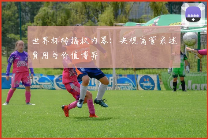 世界杯转播权内幕:央视高管亲述费用与价值博弈