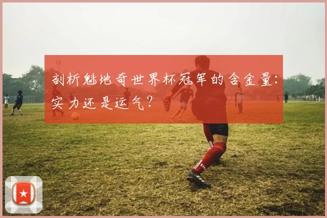 剖析魁地奇世界杯冠军的含金量：实力还是运气？