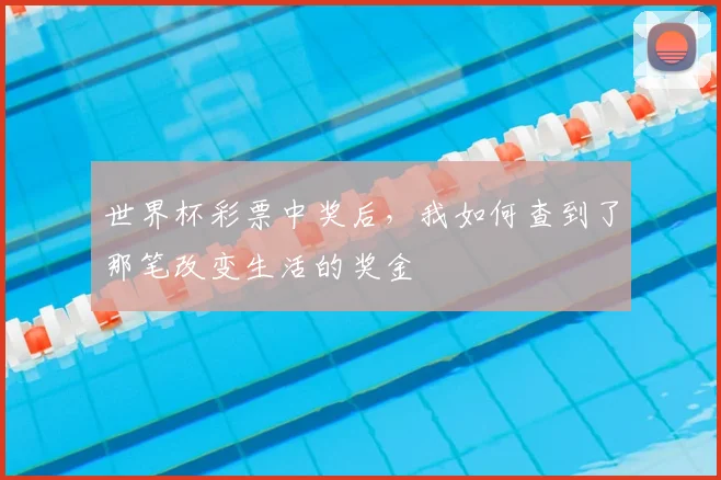 世界杯彩票中奖后,我如何查到了那笔改变生活的奖金