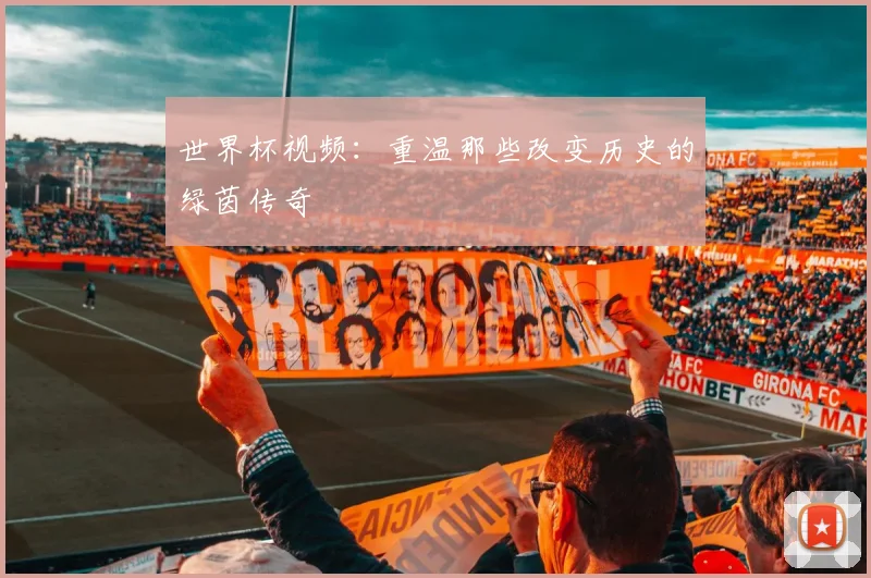 世界杯视频：重温那些改变历史的绿茵传奇