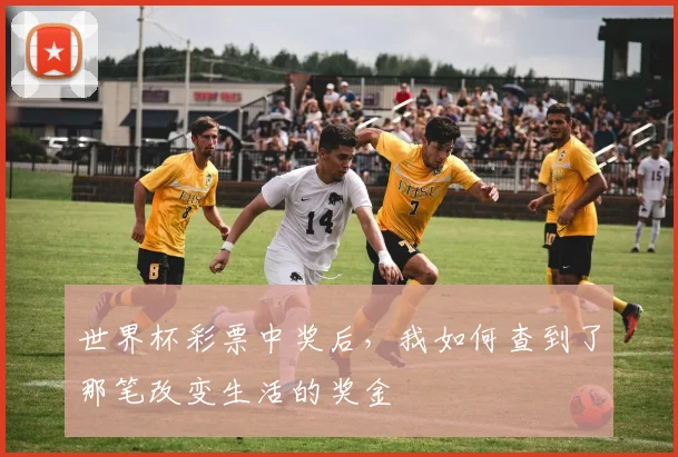 世界杯彩票中奖后,我如何查到了那笔改变生活的奖金